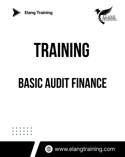 TRAINING BASIC AUDIT FINANCE