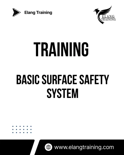 TRAINING BASIC SURFACE SAFETY SYSTEM