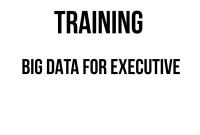 TRAINING BIG DATA FOR EXECUTIVE