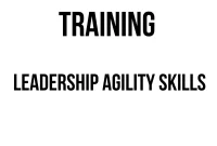 TRAINING LEADERSHIP AGILITY SKILLS TRAINING LEADERSHIP AGILITY SKILLS