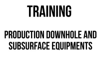 TRAINING PRODUCTION DOWNHOLE AND SUBSURFACE EQUIPMENTS
