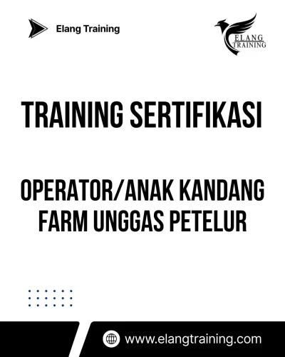 sertifikasi bisnis ayam petelur